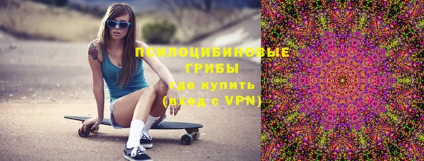 гидра Алексеевка