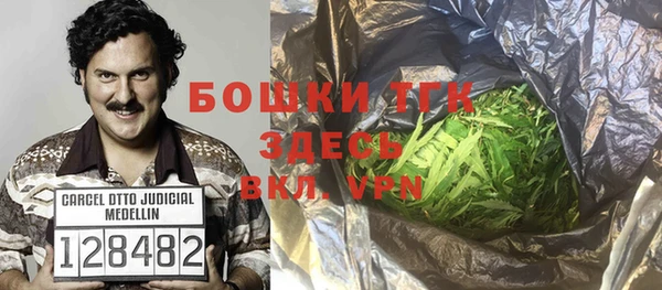 гидра Алексеевка