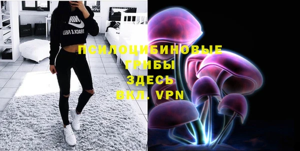 PSILOCYBIN Куйбышев