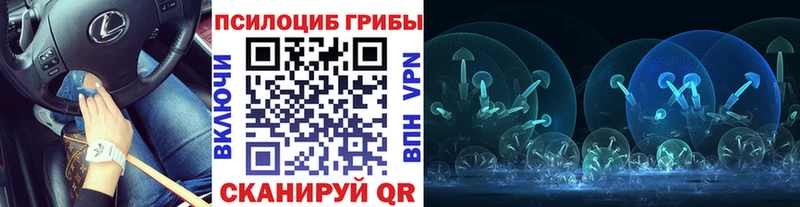 купить наркотик  Печоры  Псилоцибиновые грибы Magic Shrooms 